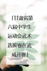 甘肃省第六届中学生运动会武术选拔赛在武威开赛